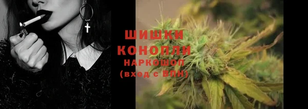 сатива Белоозёрский