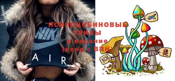 прущая мука Белокуриха