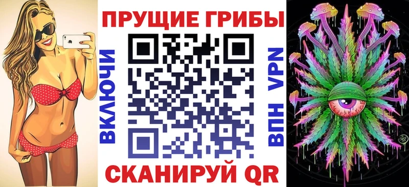 цены наркотик  Гудермес  Галлюциногенные грибы мицелий 