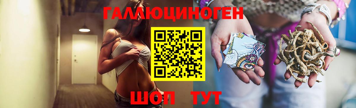 Псилоцибиновые грибы Magic Shrooms  Вход с VPN  Гудермес 