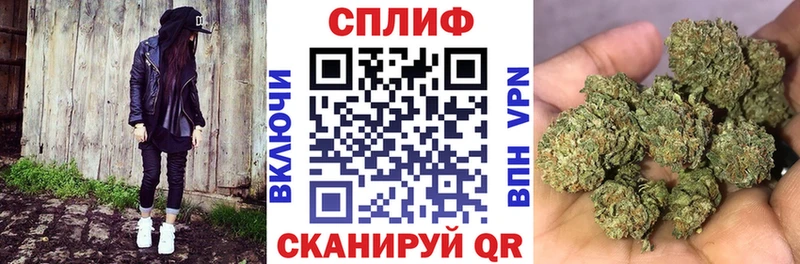 где можно купить   Гудермес  Бошки марихуана семена 